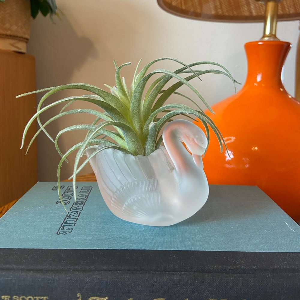 Votive swan